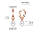 Creolen Sterling Silber roségold Süßwasser-Zuchtperle weiß