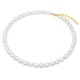 Kette Sterling Silber gelbgold Süßwasser-Zuchtperle weiß