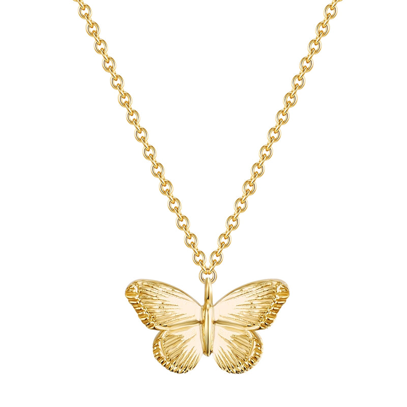 Kette Sterling Silber gelbgold