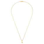 Kette mit Anhänger Edelstahl gelbgold