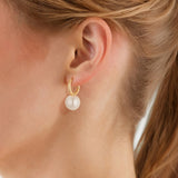 Creolen gelbgold Perle (synth.) weiß