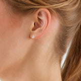 Ohrstecker gelbgold Zirkonia weiß
