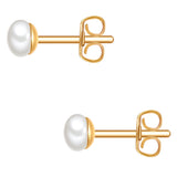 Ohrstecker Sterling Silber gelbgold Süßwasser-Zuchtperle weiß